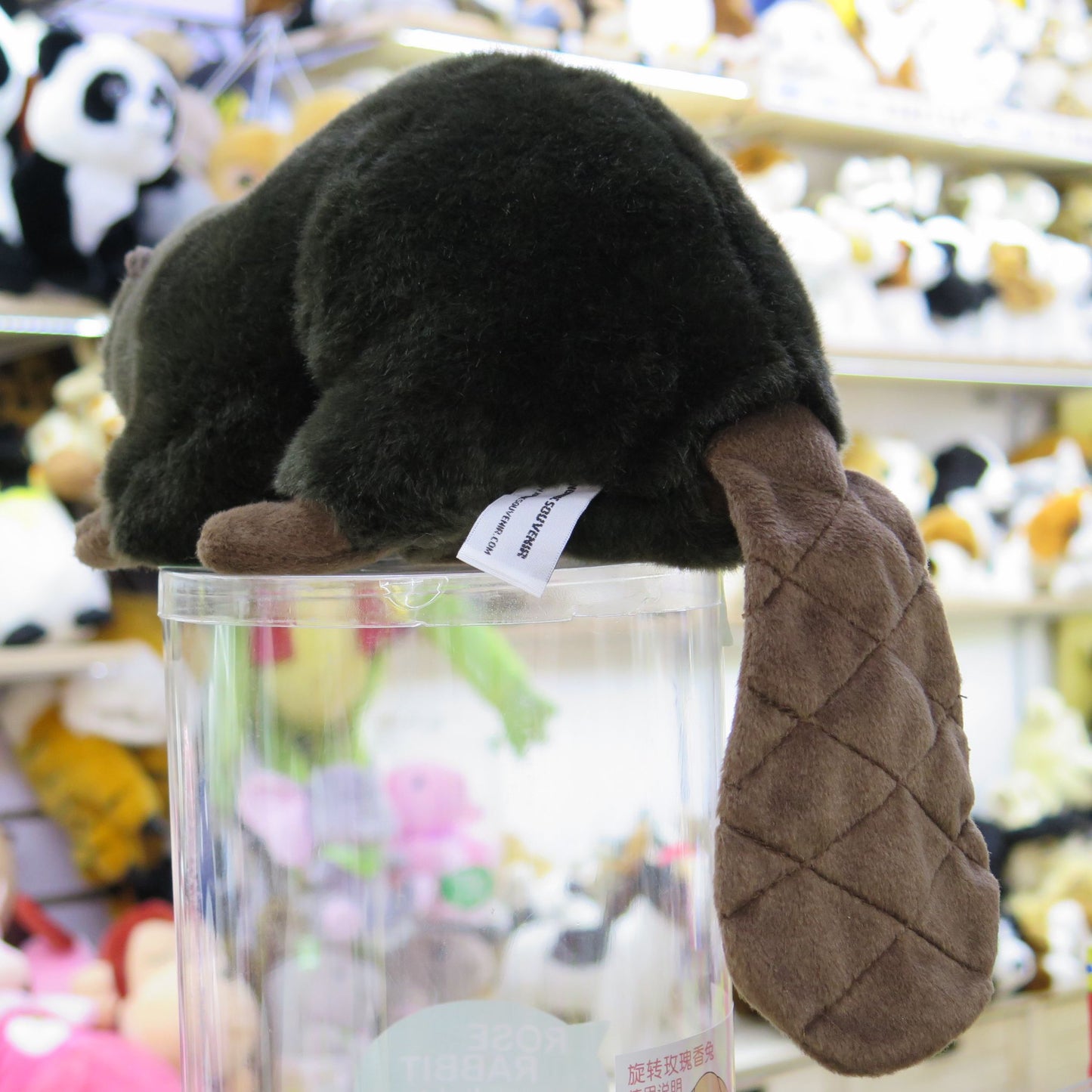Beavers Plush Buddies