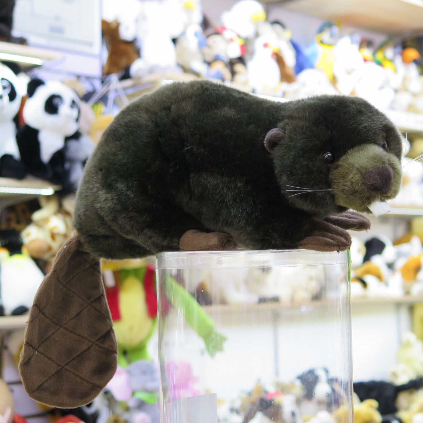 Beavers Plush Buddies Dark brown