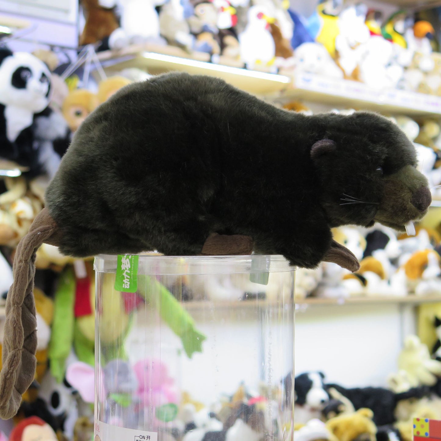 Beavers Plush Buddies