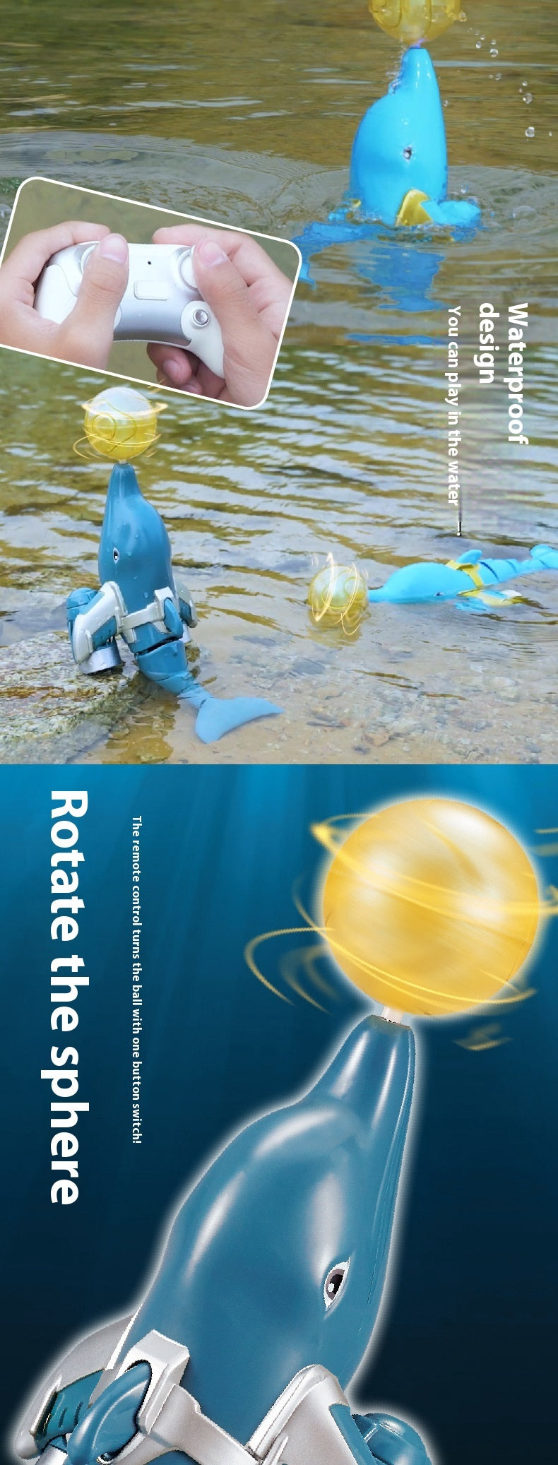 Zoomarine Adventures