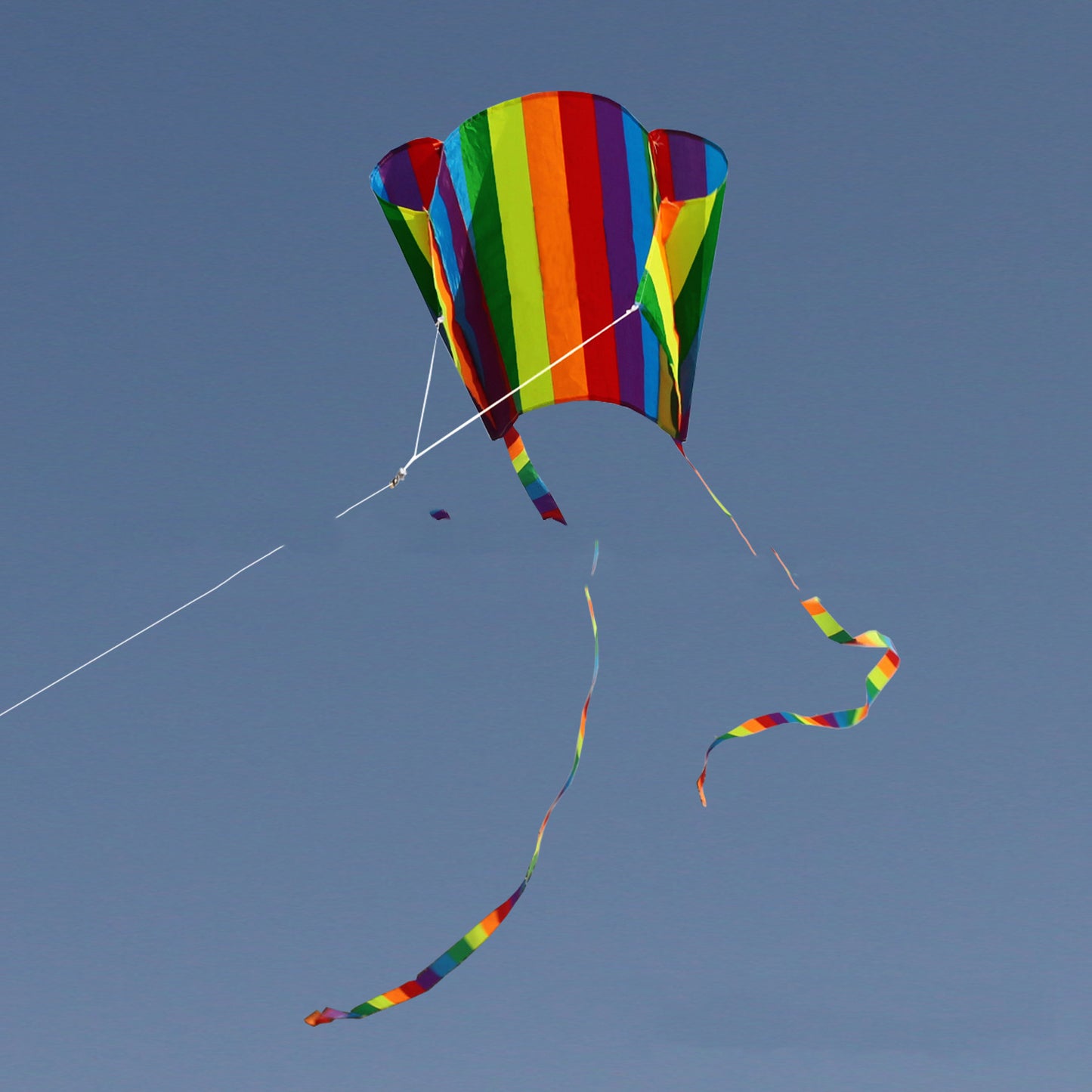 Rainbow Small Pockets Kite Software Children The Long Tail Kite