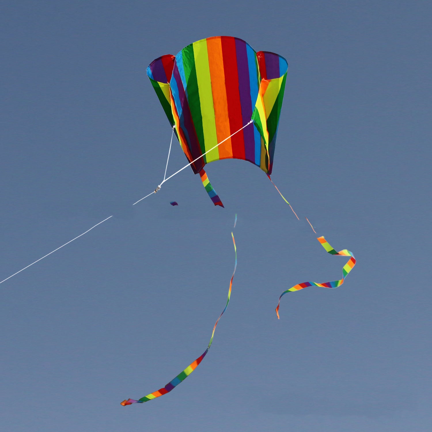 Rainbow Small Pockets Kite