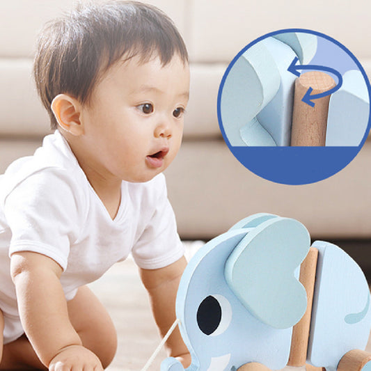 Wooden Elephant Pull-Along Train Set